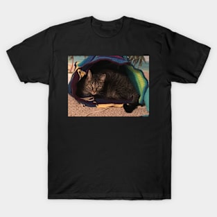 Safe in My Cave T-Shirt